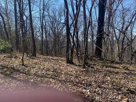 3rd image of 0 Black Oak Estates Rd Lot 50
