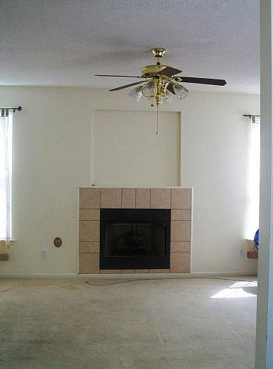 Gas Fireplace in LIving Room