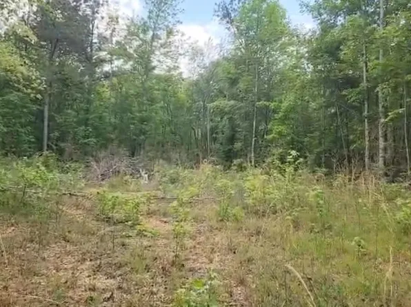 0 Fuller Rd, Phil Campbell, AL 35581