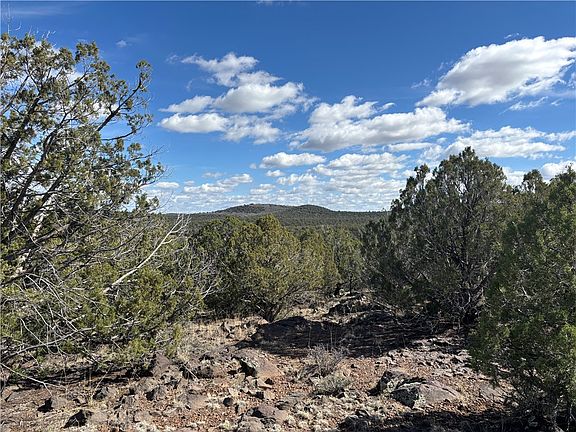 3rd image of 352-26-004 Doe Trail #4