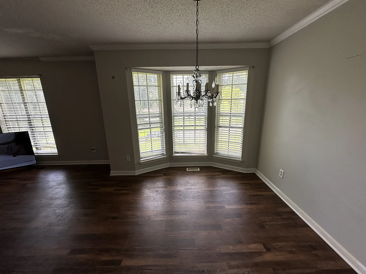 720 Cedar Cone Circle - 1 — Photo 4