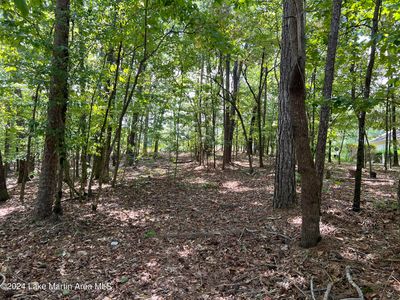 25 Fern Ridge Dr, Dadeville, AL, 36853