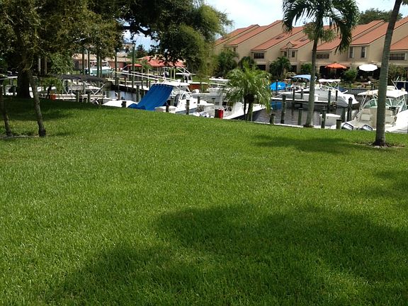 View from your patio