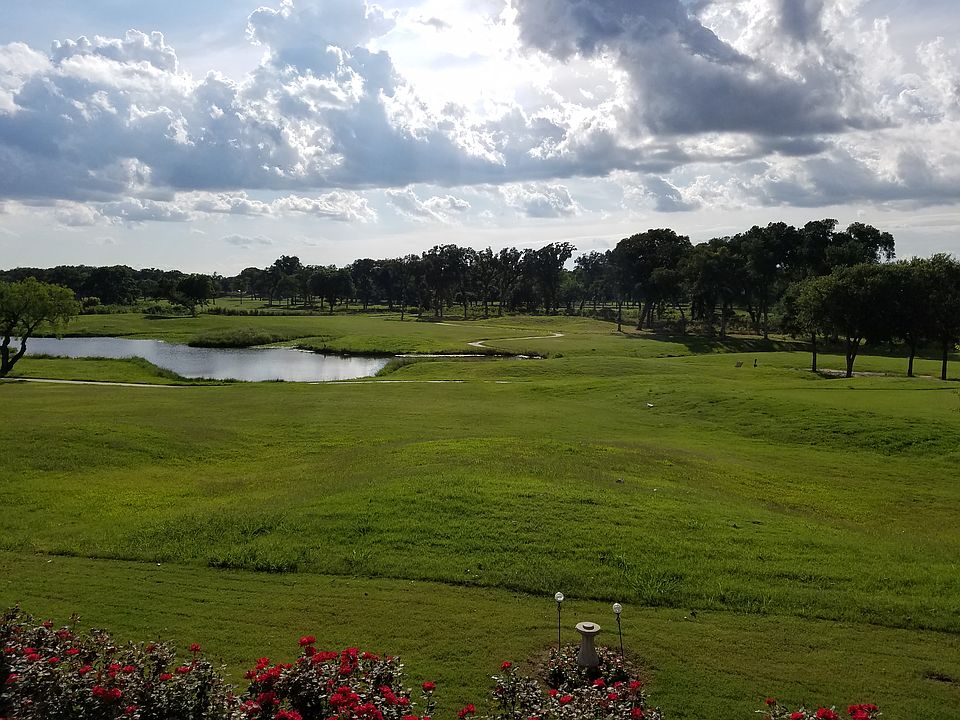 View from the back yard