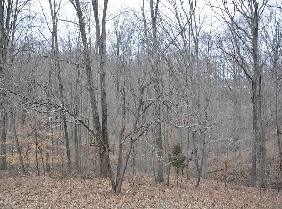 2nd image of 4995 N Brummetts Creek Rd