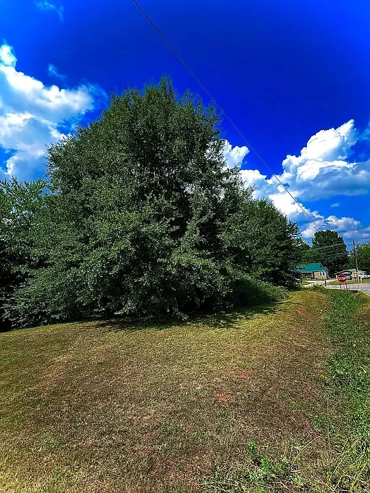 367 E Reedy Fork Rd — Photo 3