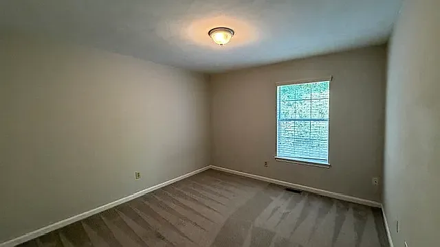 2917 Saville Garden Way — Photo 30