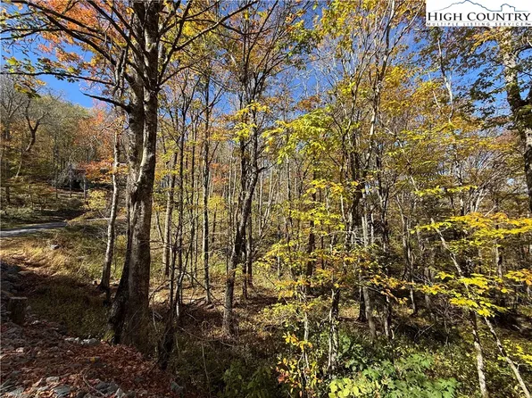 Lot 77 Rock Spring Circle, Sugar Mountain, NC 28604