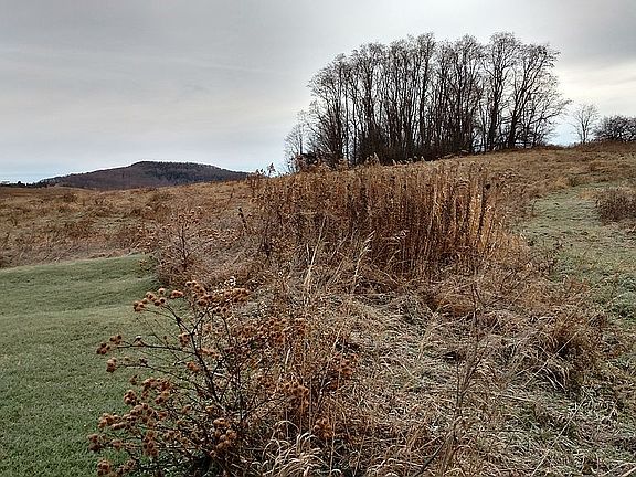 Partial photo of land 