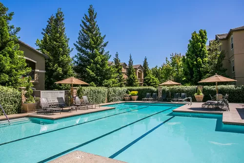 Upscale Swimming Pool with Lap Lanes - Rolling Oaks Apartment Homes