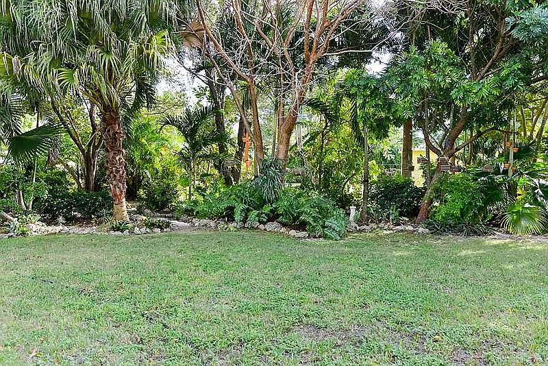 Back Yard Tropical Garden