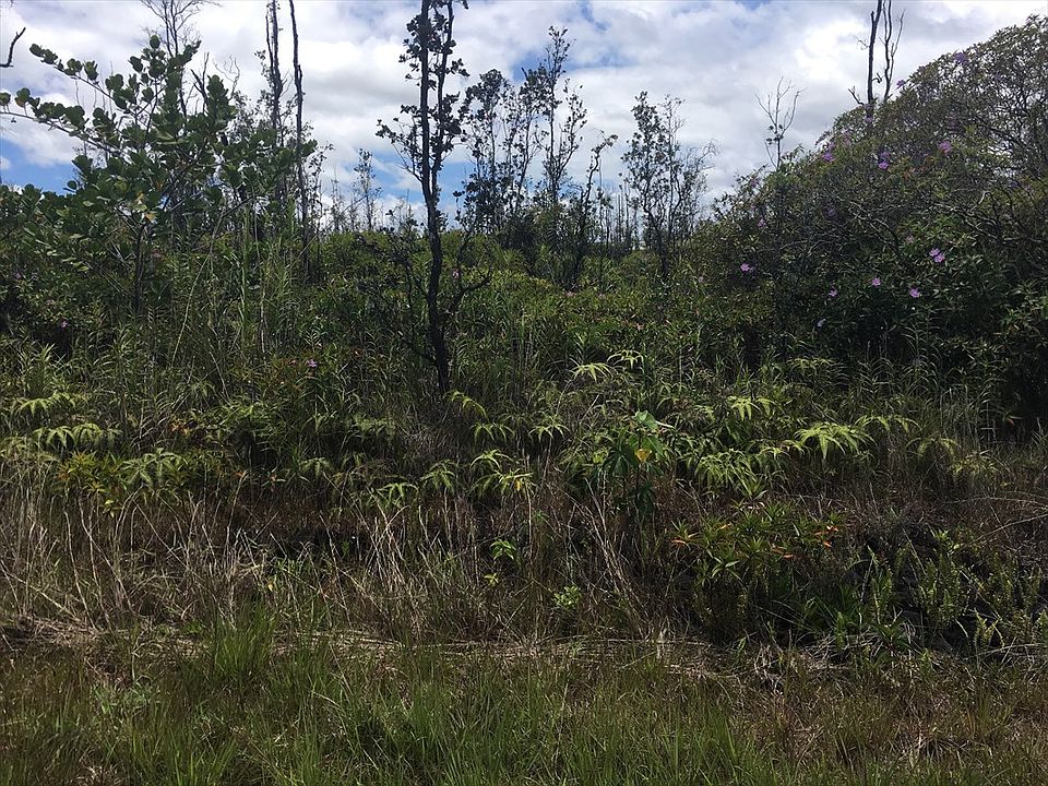 1st image of 32 Avenue