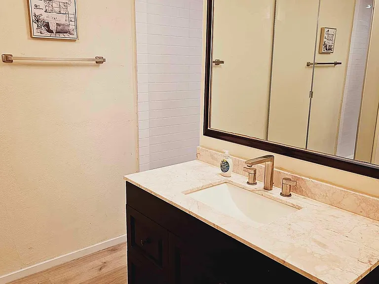 Brand new master bathroom