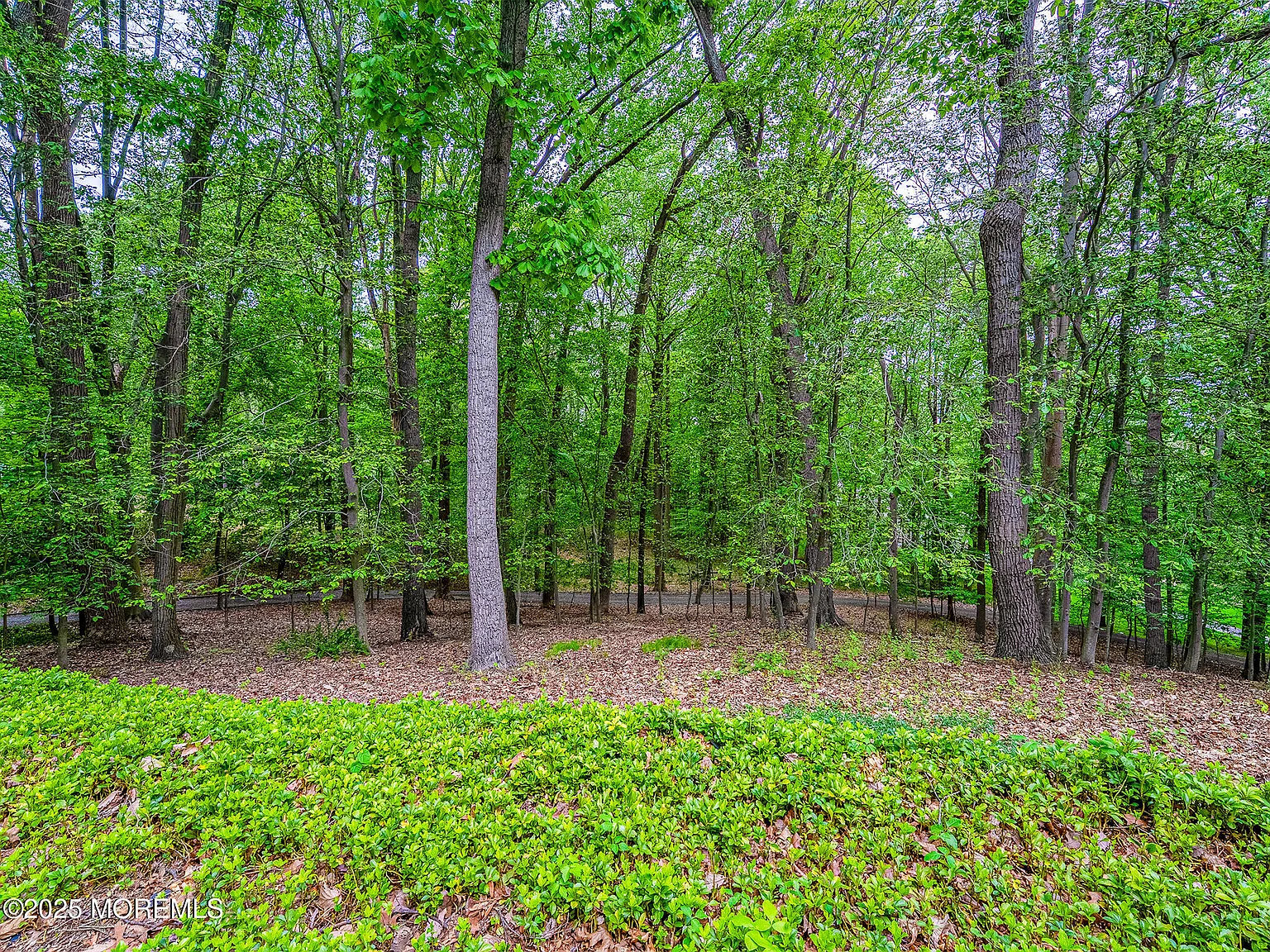 4 bed, $5,100 — Photo 4
