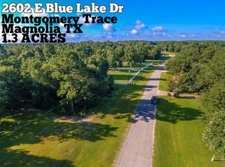 2602 E Blue Lake Dr, Magnolia, TX 77354