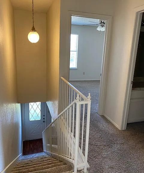 904 Cottonwood Trl #B — Photo 7