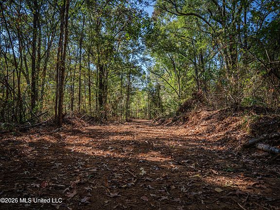 3rd image of Billy Fields Rd