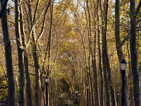 567 Fulton Street image 24 of 30