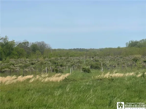 0 Greenbush St #26, Brocton, NY 14716