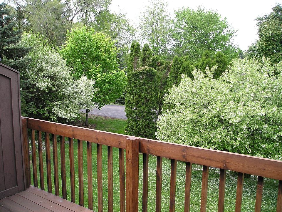 View from Deck