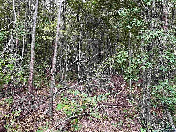 4th image of 1564 County Road 325
