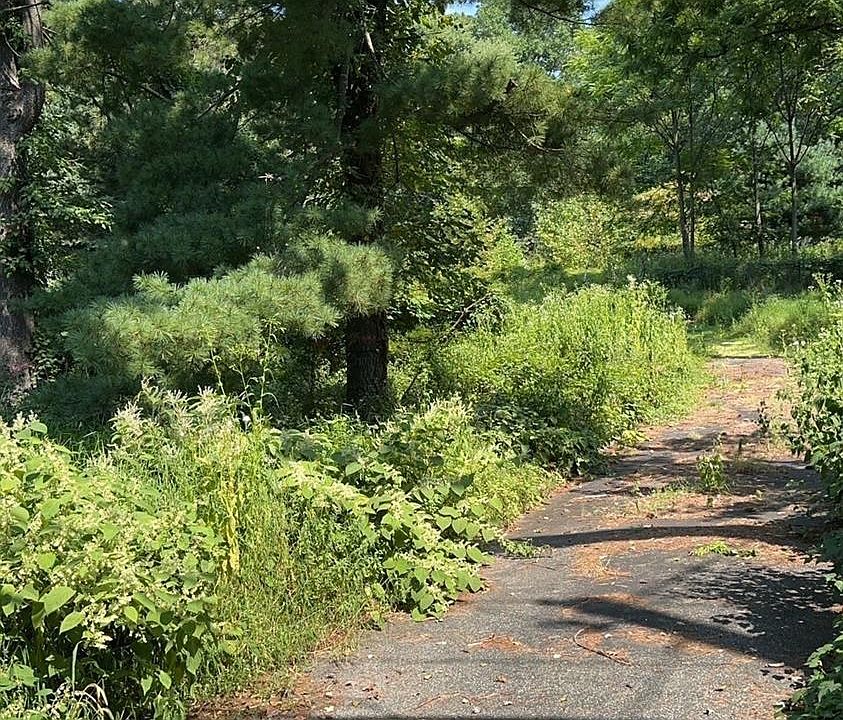 1671 Woodland Ave, Edison, NJ 08820 Zillow