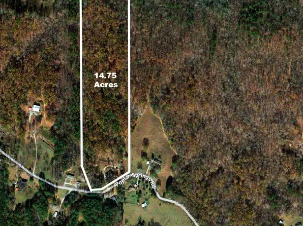 3456 Poplar Springs Rd, Buchanan, GA 30113