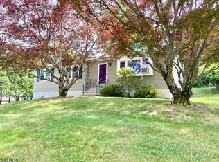 220 W Hanover Ave, Morris Twp., NJ 07960