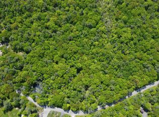 162 Bonneville Rd, Georgian Bay, ON L0K1S0