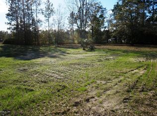 2292 Maluke Ln, Middleburg, FL 32068