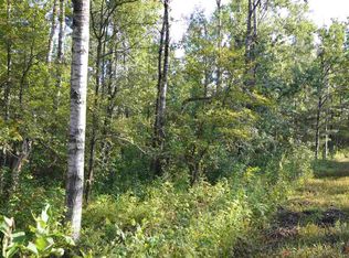0 Cedarwood Ct, Mancelona, MI 49795