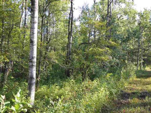 0 Cedarwood Ct, Mancelona, MI 49795