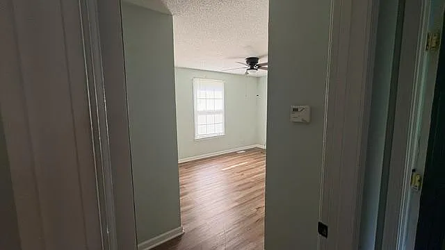 538 Donna Dr — Photo 3