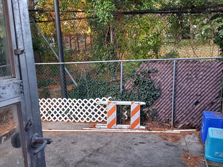 Backyard