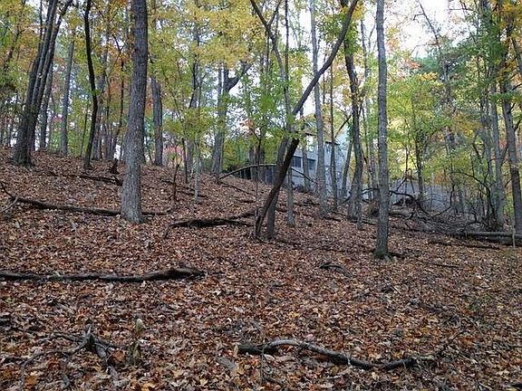 5th image of 1179 Quail Cove Dr Lot 1179