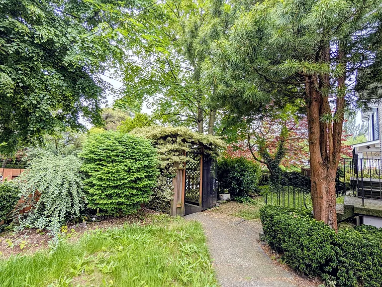 Front yard