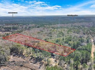 49/AC-E/S Steve Nelson Rd NE, Townsend, GA 31331