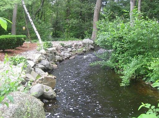 Back yard brook