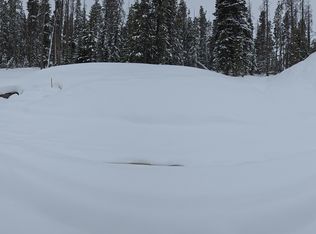 210 Gcr #8342, Fraser, CO 80442