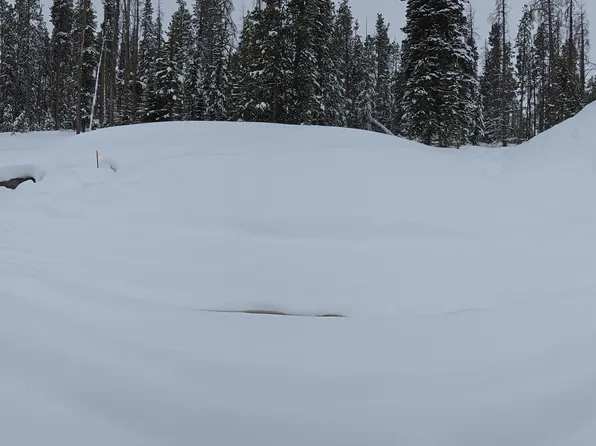 210 GCR 8342, Fraser, CO 80442