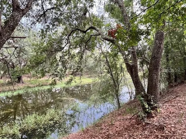 SW 13th Ln Lot 1, Bell, FL 32619