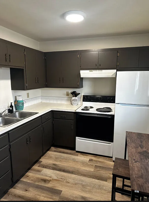 1 bed, 530 sqft, $950 — Photo 3