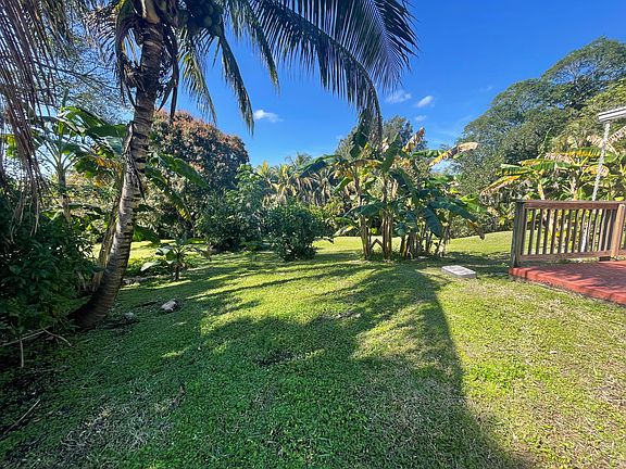Landscaped lawn area