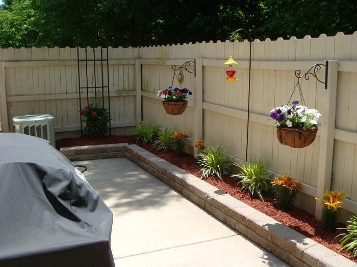 Back Yard 1