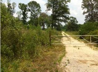 40 Duff Rd, Walker, LA 70785