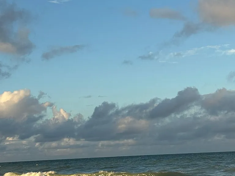 9900 S Ocean Dr #1 — Photo 22