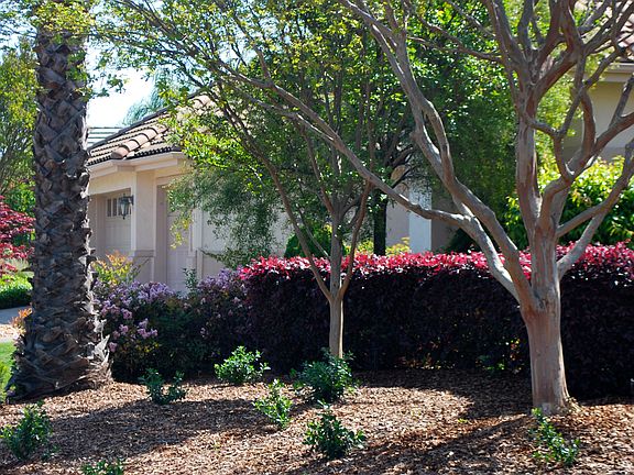 4th image of 5557 Lantern Grove Ln
