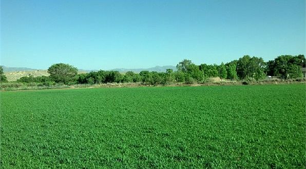 1st image of 10 Peralta Farms Ct