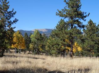 1638 Tapadero Rd, Bailey, CO 80421