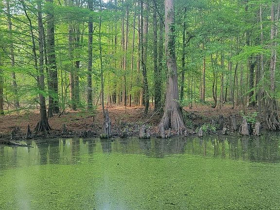 2nd image of County Road 430